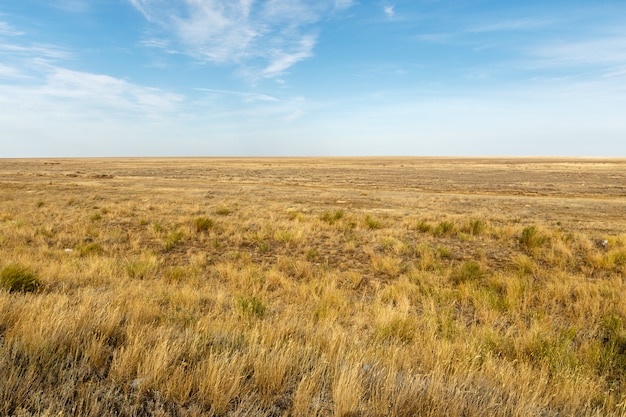 Landschap van de verlaten steppe. Kazachstan.