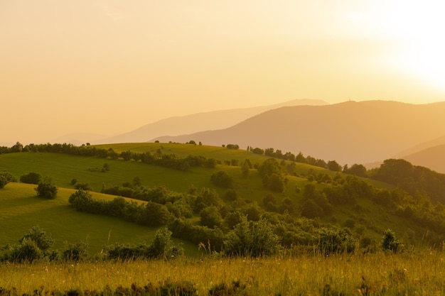 landschap van de zomer natuur in zonsondergang in bergen en heuvels op platteland abstracte lijnen en curven achtergrond