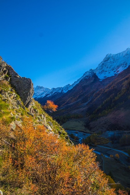 Landschap van de Zwitserse Alpen in de herfst