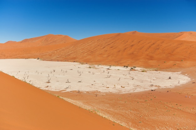 Landschap van Dode Vlei, Sossusvlei, Namib-woestijn, Namibië, Zuid-Afrika