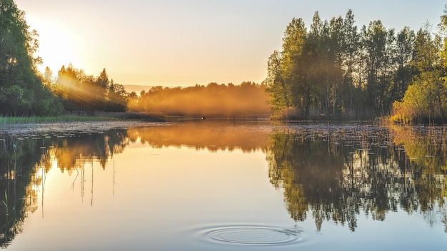 Foto landschap van een bosmeer in het avondlicht