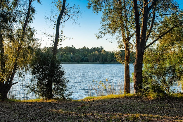 Landschap van een meer in Canelones Uruguay