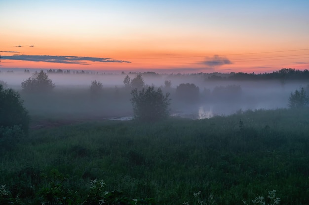 Landschap van een mistige zomerzonsondergang over de velden en het bos