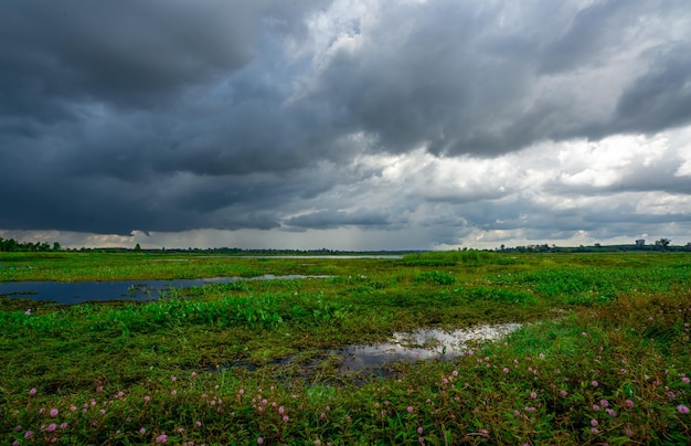 Landschap van groen grasveld en bewolkte hemel Donkere cloudscape van een stormachtige hemel Natuurlijk water