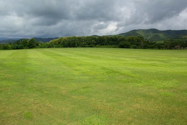 Landschap van groen grasveld en lucht met Mountain