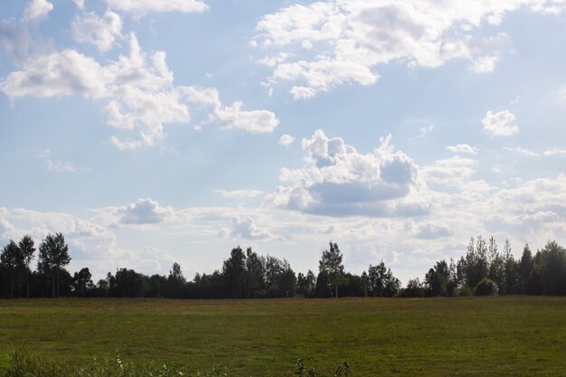 Landschap van groen veld en lucht met wolken