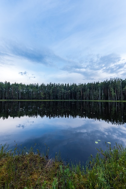 Landschap van het bosmeer in Europa