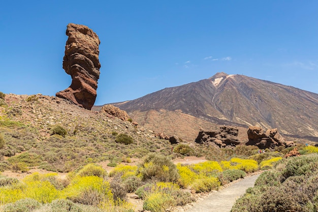 Landschap van het nationale park tedie op het eiland Tenerife, Spanje