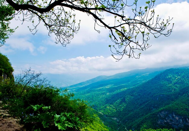 Landschap van heuvels bedekt met groen onder een blauwe bewolkte lucht op het platteland