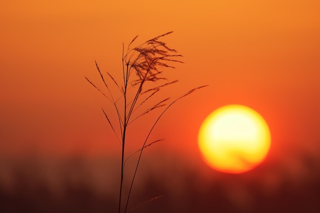 Landschap van in het boerderijzonsopgangschot