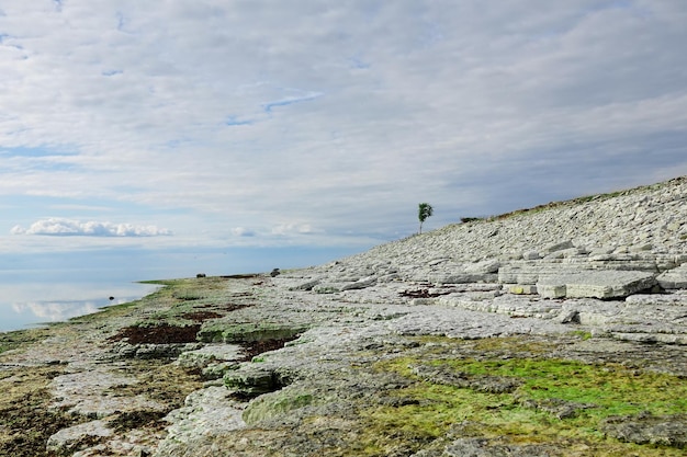 Landschap van kalksteenkliffen in de buurt van de blauwe zee Panoramische kustlijn van het strand in Osmussaar, Estland