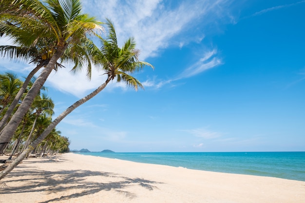 Landschap van kokosnotenpalm op tropisch strand in de zomer