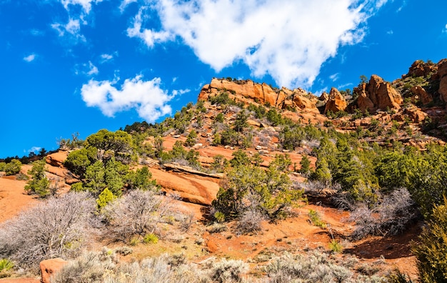 Landschap van Kolob Canyons in Zion National Park - Utah, Verenigde Staten