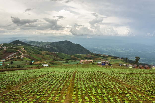 Landschap van landbouwgebied op berg in Thailand