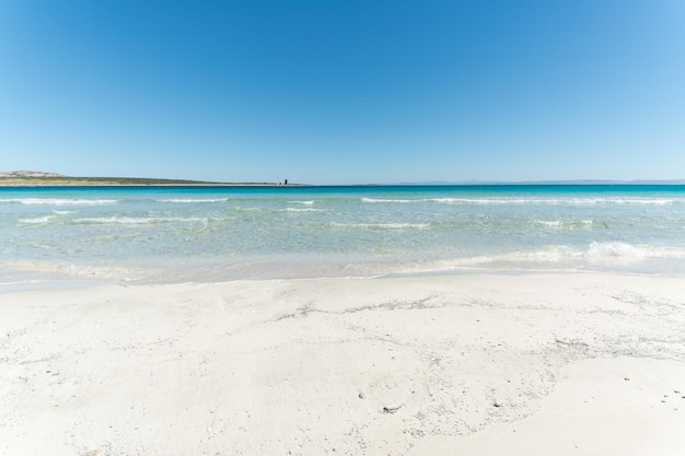 Landschap van leeg tropisch strand