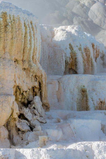 Landschap van Mammoth Hot Springs in Yellowstone National Park