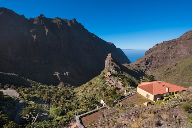 Landschap van Masca-canion, beroemd toeristisch hikkingpunt in Tenerife, Canarische Eilanden, Spanje.