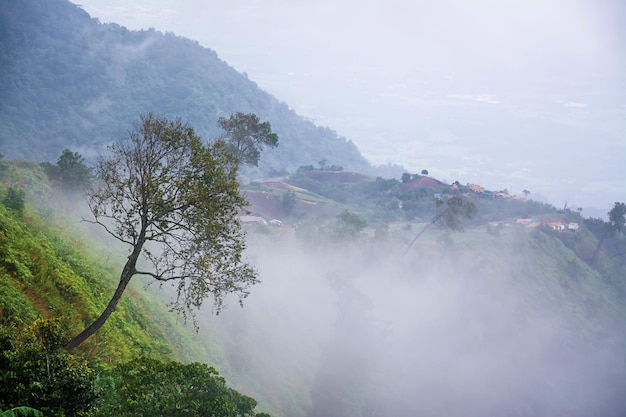 Landschap van mist en berg in Thailand