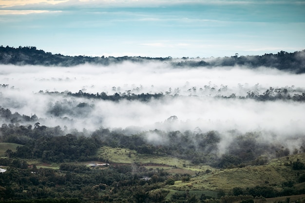 Landschap van mistige berg in regenwoud op regenachtige dag in de ochtend in het nationale park van Khao Kho