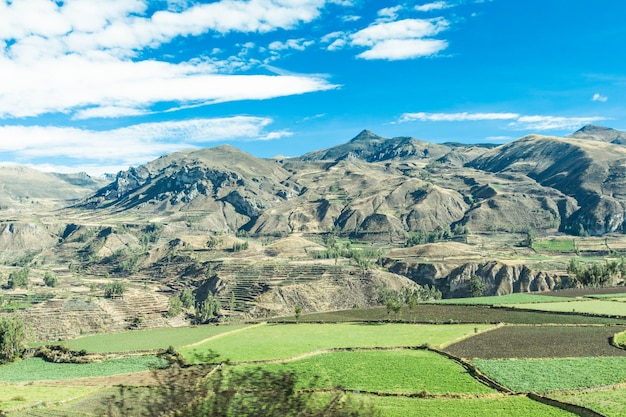 Landschap van Peru