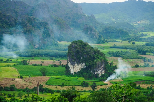 Landschap van Phu Lanka-berg bospark in Phayao-provincie Thailand