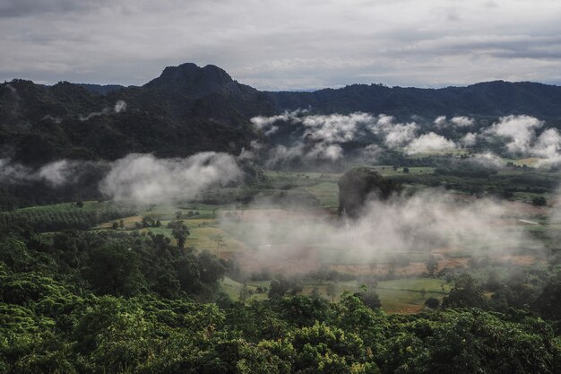 Landschap van phu lanka-berg bospark in phayao-provincie thailand