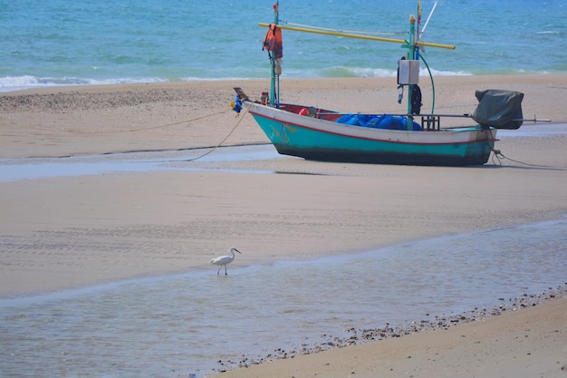 Landschap van strand in de zomer met een vogel en een vissersboot op de kust