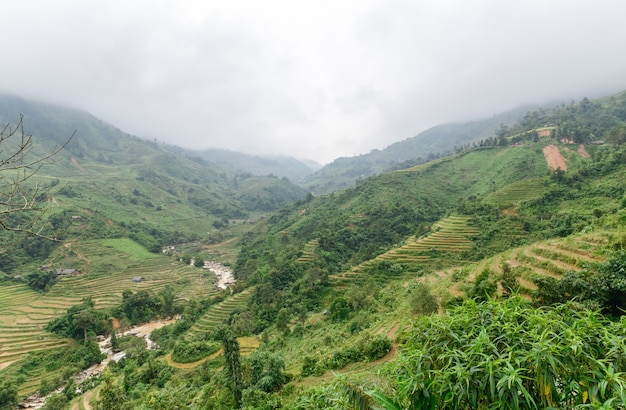 Landschap van Terrasvormig Padieveld na oogst en mist op berg in Sapa, Vietnam