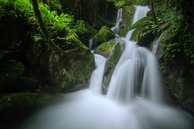 Landschap van waterval in diep bos