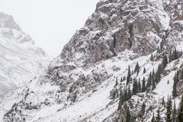 Landschap van winter rocky mountains met mist