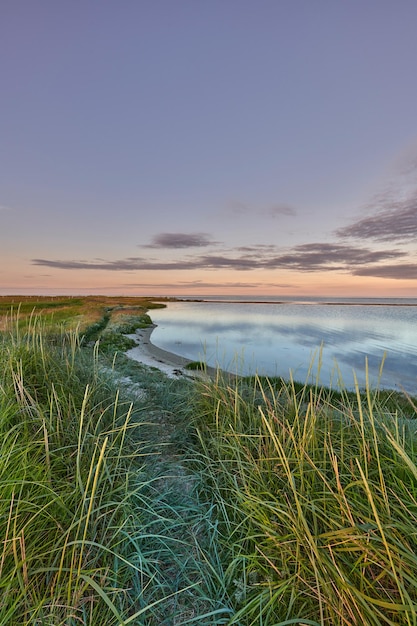 Landschap van zeemeer of lagune tegen zonsondergang hemelachtergrond met kopieerruimte Golf met riet en wild gras dat groeit op lege kust buiten Vreedzame rust en prachtig schilderachtig uitzicht in de natuur