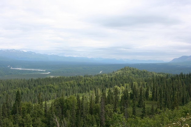 Landschapnatuur en gletsjers in Alaska