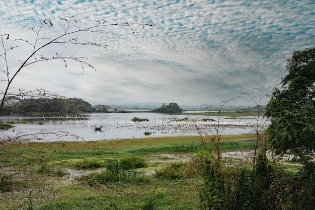 landschappen gemaakt in verschillende delen van de wereld een zeer goede lijst met prachtige landschappen vinden