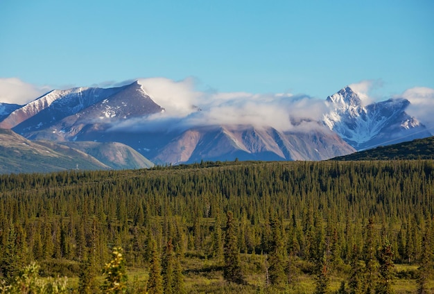 Landschappen in Alaska