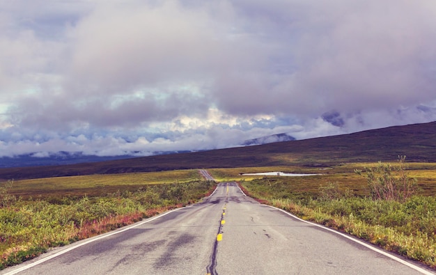 Landschappen op de snelweg van Denali, Alaska.