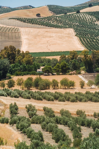 Foto landschappen van andalusië, spanje