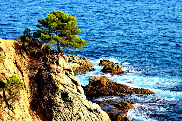 Landschappen van de stranden van Gerona.