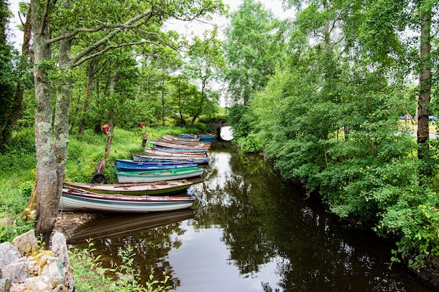 Landschappen van Ierland. Nationaal park Killarney