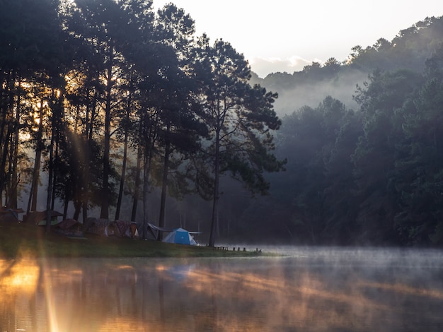 Landschappen van reservoirs en mist tijdens de Welse ochtend