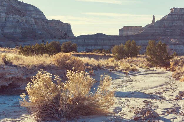 Foto landschappen van utah