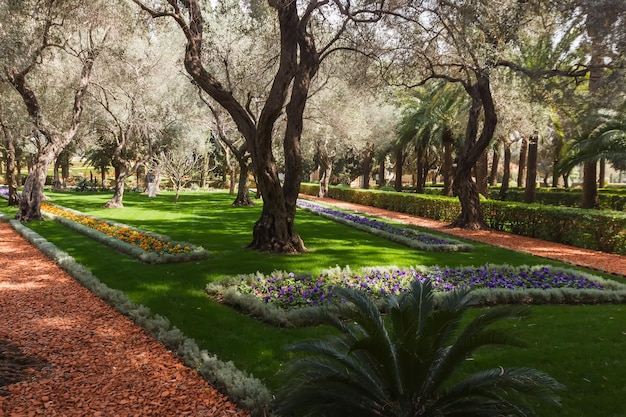 Landschapsarchitectuur en verschillende planten in de Bahai-tuin