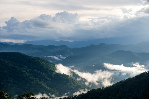 Landschapsbeeld van de heuvels van het groenregenwoud in mistige dag met blauwe hemel