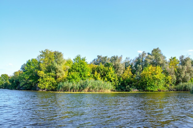 Landschapsbeeld van een grote rivieroevervegetatie