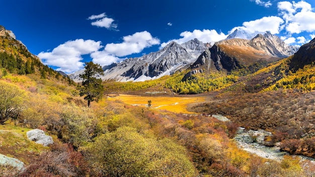 Foto landschapsbeeld van het natuurreservaat daocheng yading in sichuan, china