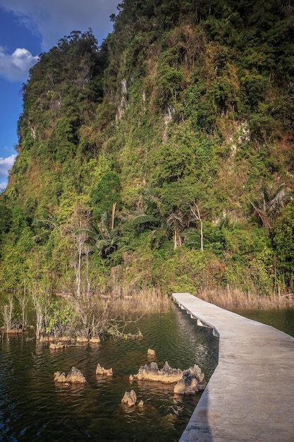 Landschapsberg in Krabi Thailand