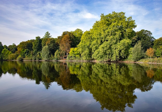 landschapsfoto natuurpark en meer