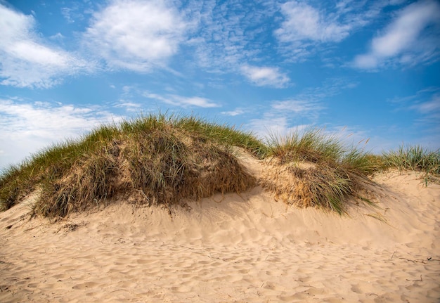 Landschapsfotografie van duin en zegge