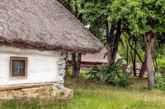 Landschapsklei en houten hut met rieten dak Oekraïens