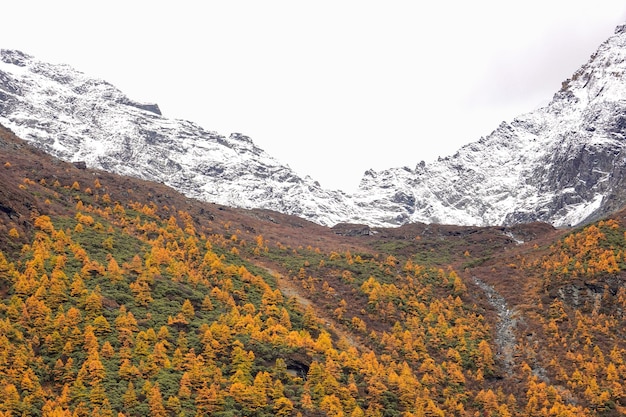 Landschapsmening in de herfst bij nationaal reservaat Yading