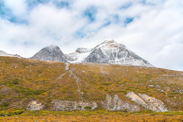 Landschapsmening in nationale reserve Yading